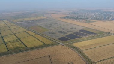 Pirinç su dolu alanlar üzerinde büyüyen. Olgun pirinç alanında, hasat başlangıcı. Kuşbakışı. Sular altında pirinç paddies. Alanları pirinç büyüyen agronomik yöntemleri. Ekili hangi pirinç suda alanlarla sel.