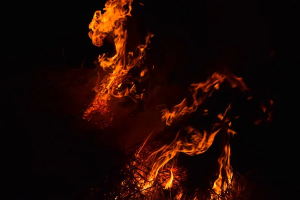 Verbrennung von Reisstroh in der Nacht. rotes Feuer auf schwarzem Hintergrund. Verbrennung. — Stockfoto