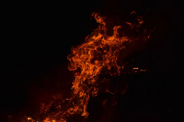 Verbrennung von Reisstroh in der Nacht. rotes Feuer auf schwarzem Hintergrund. Verbrennung. — Stockfoto