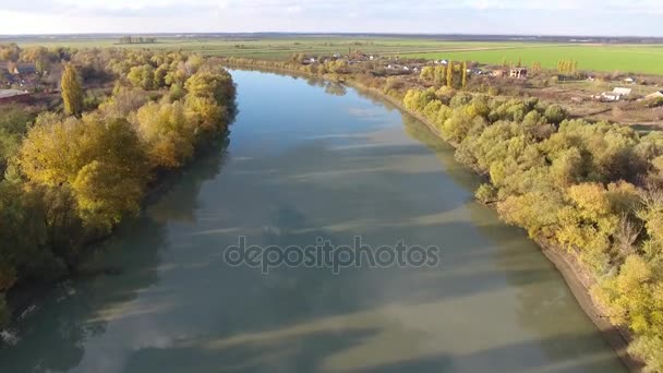 Yukarıdan bankalarla ağaçları ile büyümüş bir nehir üzerinde görüntüleyin. Sonbahar manzara. Sarı ağaçlar — Stok video