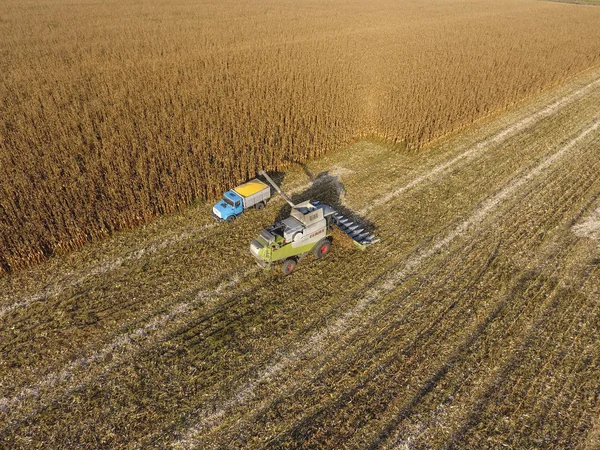 Kombinovat kombajn nalévá Obilného zrna do těla kamionu. Kombajn sklizně kukuřice. — Stock fotografie