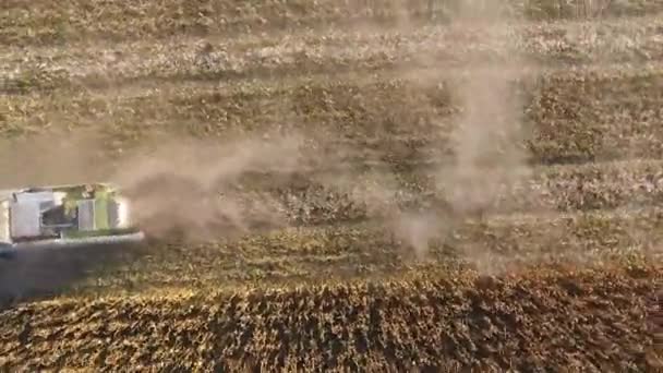 Oogster Oogst Maïs Verzamel Maïskolven Met Behulp Van Een Maaidorser — Stockvideo
