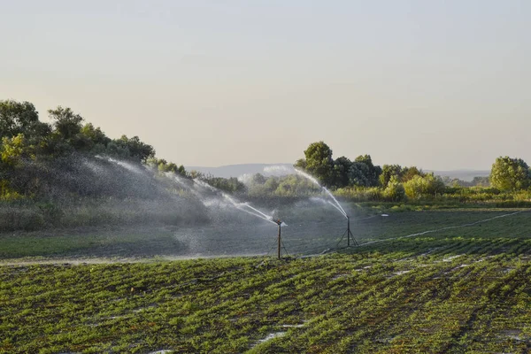 Sistema de riego en el campo de melones. Riego de los campos. Sprin. —  Fotos de Stock