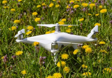 Karahindiba flowe ile takas Quadrocopter ile DJI indeks işlem Phantom 4 açıktır