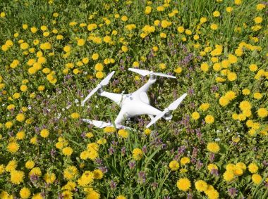 Karahindiba flowe ile takas Quadrocopter ile DJI indeks işlem Phantom 4 açıktır