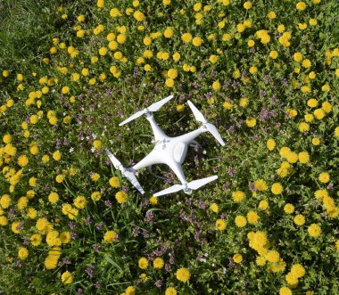 Karahindiba flowe ile takas Quadrocopter ile DJI indeks işlem Phantom 4 açıktır