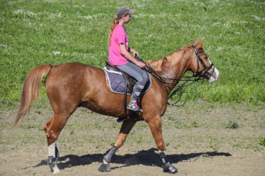 Atlı spor gençler ile. Horse Club. Bir kız sürme bir