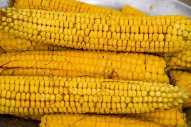Alüminyum tepside haşlanmış mısır. Yakınlarda mısır var. Mısıra yakın çekim. Sarı haşlanmış taze mısır, yararlı ve lezzetli yiyecekler.
