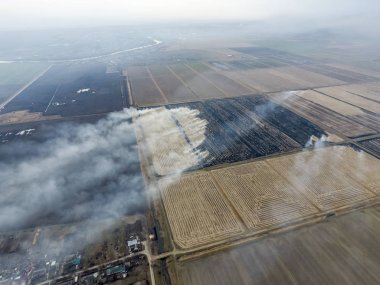 Yanan saman alanlarındaki