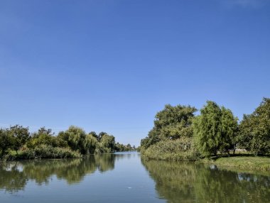 Poltava Yerik. Manzara nehir, su ve ağaçlar.