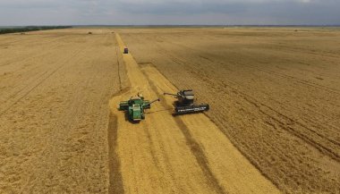 Buğday hasat hasat. Tarım makineleri Tahıl hasat 