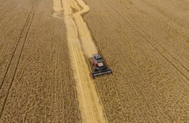Buğday hasat hasat. Tarım makineleri Tahıl hasat 