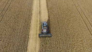 Buğday hasat hasat. Tarım makineleri Tahıl hasat 