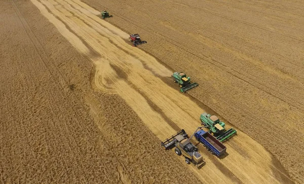 Raccolta grano mietitore. Macchine agricole raccolto grano — Foto Stock