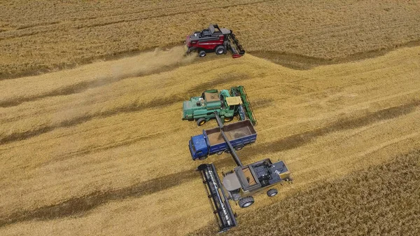 Het oogsten van tarwe maaimachine. Landbouw machines oogst graan — Stockfoto