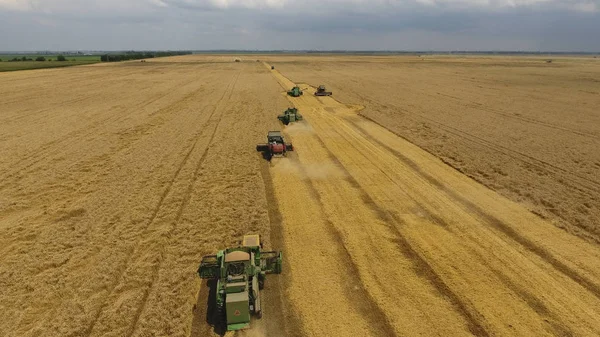 Buğday hasat hasat. Tarım makineleri Tahıl hasat — Stok fotoğraf