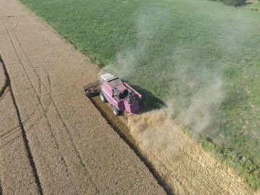 Temizlik buğday hasat. Üstten Görünüm.