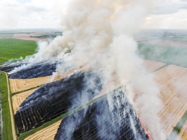Burning straw in the fields of wheat after harvesting clipart