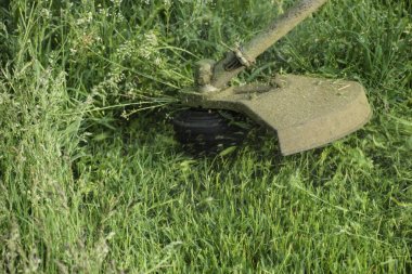 Balık tutma çizgi düzeltici kullanarak yeşil çim biçme. Uygulama & bıyık kesme makineleri.