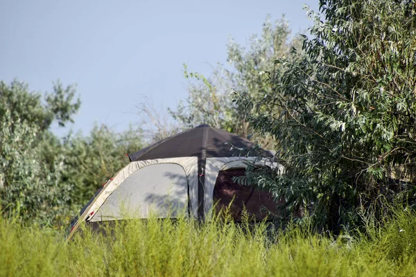 Tourist tent under a tree. Tourist Camping. Multi-Tent.