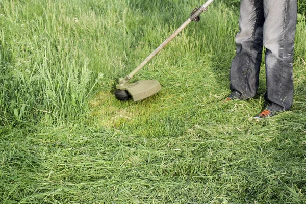 Memotong Rumput Hijau Menggunakan Trimmer Pancing Pemangkas Aplikasi — Stok Foto