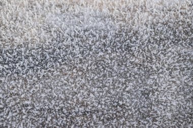 Hoarfrost ağaç gövde yüzeyi. Kış çiğ ve donma.