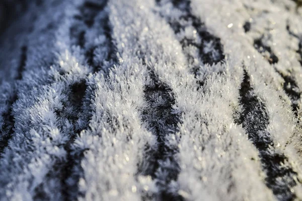 Rijm Tree Trunk Oppervlak Winter Ochtenddauw Bevriezing — Stockfoto
