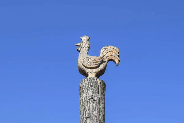 A kakas a egy fatönkön, háttérben a kék sk dugasz — Stock Fotó