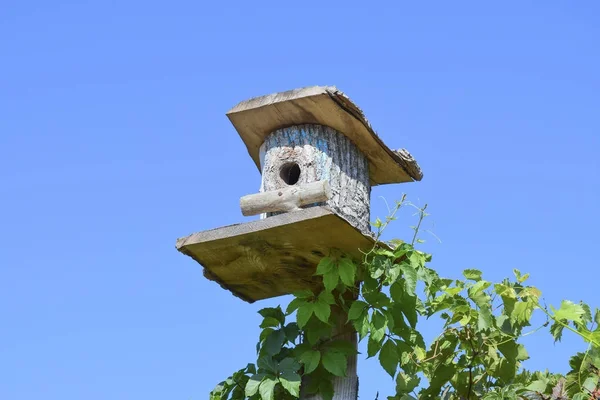 Nestkastjes, huizen voor vogels — Stockfoto
