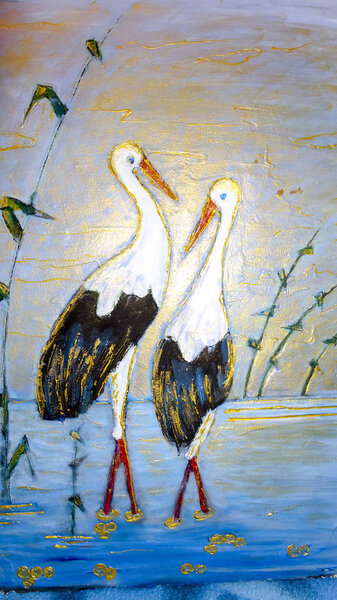 Two storks stand in a pond. A married couple of storks.