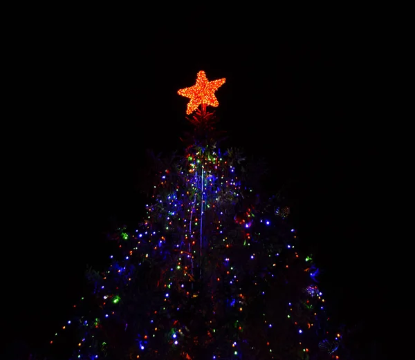 夜圣诞玩具 在街上穿上圣诞树 — 图库照片