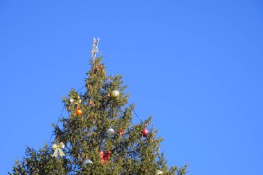 Tinsel ve oyuncaklar, topları ve diğer süslemeleri Noel Noel ayakta açık havada ağaç. Süslemeleri yılbaşı ağacı.