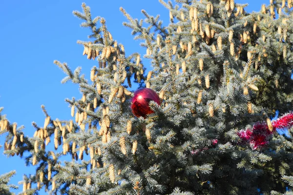 Pozlátko Hračky Koule Jiné Ozdoby Vánoční Strom Stojící Pod Širým — Stock fotografie