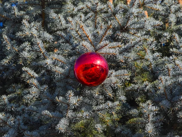 Pozlátko Hračky Koule Jiné Ozdoby Vánoční Strom Stojící Pod Širým — Stock fotografie