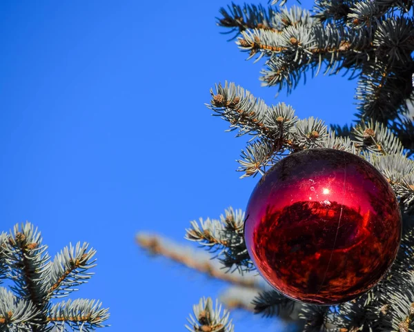 Tinsel Brinquedos Bolas Outras Decorações Árvore Natal Livre Decorações Árvore — Fotografia de Stock
