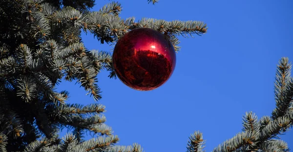 Tinsel Giocattoli Palline Altre Decorazioni Sull Albero Natale Piedi All — Foto Stock