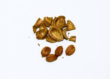 Kayısı kemikleri. Tohumlar ekilmek için sakallıdır. Kayısı tohumu.