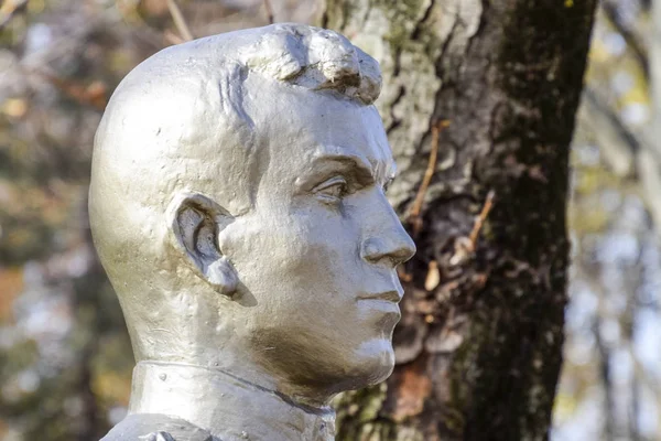 Rostro Del Hombre Piedra Busto Soldado Hormigón Cubierto Pintura —  Fotos de Stock