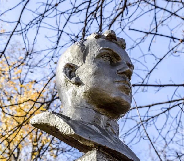 The face of the stone man. Concrete soldier bust covered with paint.