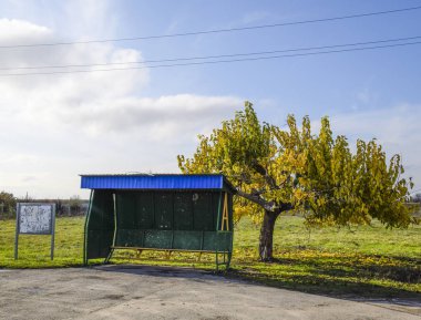Otobüs durağı köyde. Ağacın yanındaki tıpa