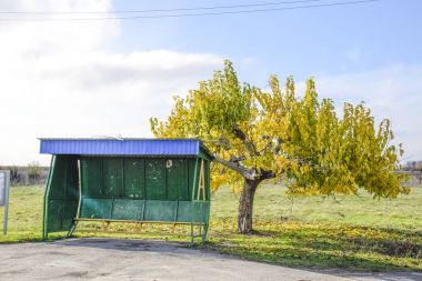 Otobüs durağı köyde. Ağacın yanındaki tıpa