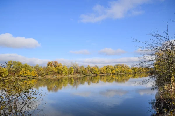 Autumn landscape. River and river bank with yellow trees. Willow and poplar on the river bank