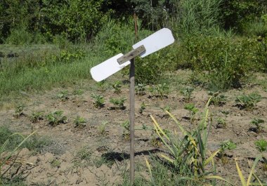 Bahçedeki kargaları korkutmak için oyuncak yel değirmeni. Yel değirmeni.