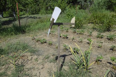 Bahçedeki kargaları korkutmak için oyuncak yel değirmeni. Yel değirmeni.