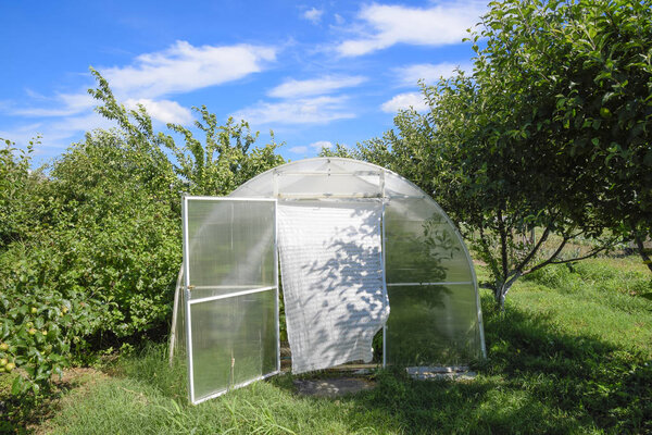 Greenhouse polycarbonate in a private garden