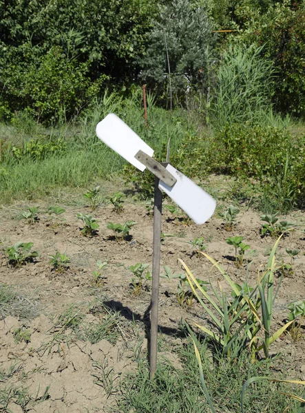 Bahçedeki kargaları korkutmak için oyuncak yel değirmeni. Yel değirmeni.