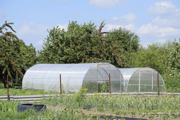 Greenhouse polycarbonate in a private garden — Stock Photo, Image