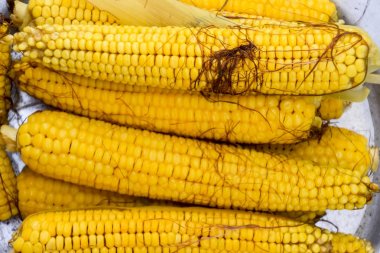 Alüminyum tepside haşlanmış mısır. Yakınlarda mısır var. Mısıra yakın çekim. Sarı haşlanmış taze mısır, yararlı ve lezzetli yiyecekler.