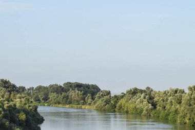 Kuban Nehri. Pürüzsüz bir yüzey su ve kıyı ormanları.
