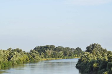 Kuban Nehri. Pürüzsüz bir yüzey su ve kıyı ormanları